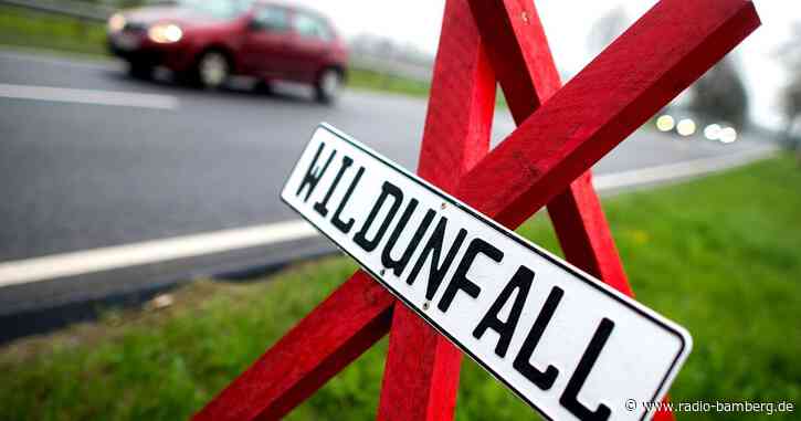 Mehrere Wildunfälle