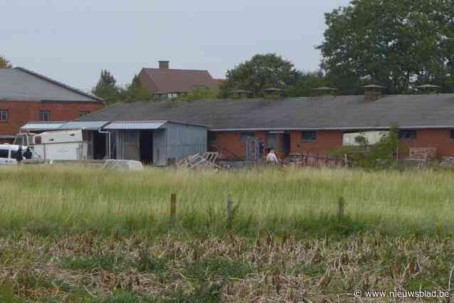 Kopstuk achter “grootste Belgische drugslab ooit” riskeert 12 jaar cel  maar ontkent dat hij de lakens uitdeelde: “Hij was een manusje-van-alles”