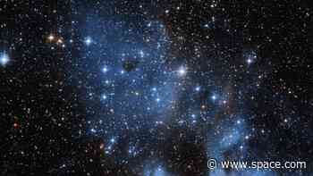 Blue stragglers are the weird grandparents of the galaxy