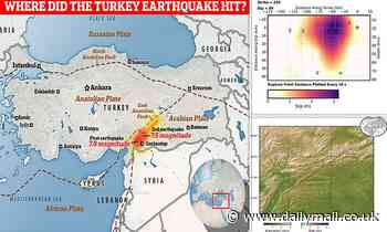 How Turkey's deadly quake moved the country by 10 FEET