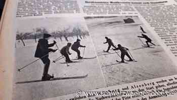 Winter 1963 im Kreis Calw: Als die Bussarde an Bäumen festfroren
