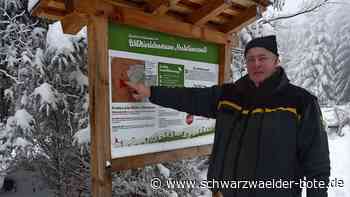 Serie „Unser Wald“: Den Sommerberg nicht überlasten