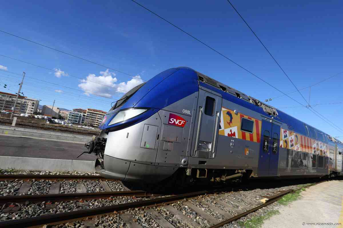 Grève sur la réforme des retraites: "On en a marre de faire la grève pour les autres"... à la SNCF, on s'interroge sur la poursuite du mouvement