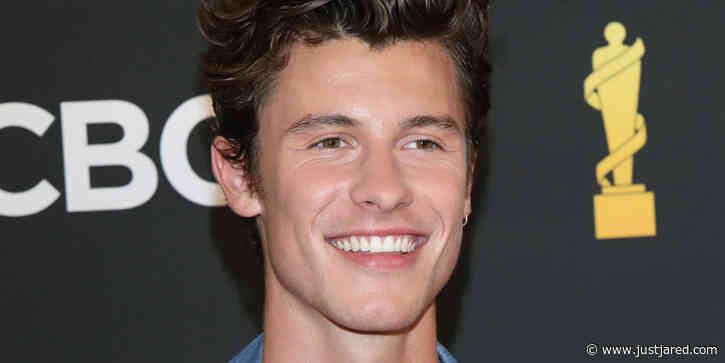 Who is Shawn Mendes' Rumored Girlfriend Dr. Jocelyne Miranda? After Months of Dating Rumors, the Pop Star was Spotted with Her at a Grammys Party