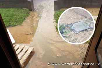 Raw sewage swamps Whippendell Road garden in Watford