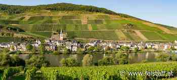 Hitzerekorde und Wasserknappheit: Warum Bioweine dem Klimawandel trotzen