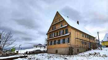 Abholzaktion in Dobel: Jetzt quasi nackt auf dem „Kahlschlaggelände“