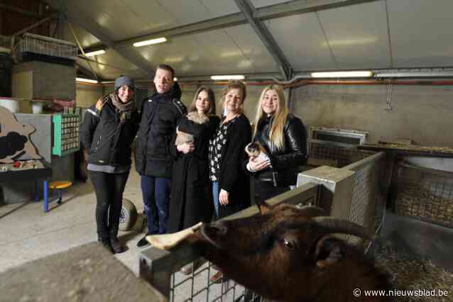 Oekraïense studentes orthopedagogie lopen stage in Zevenbergen en Monnikenheide