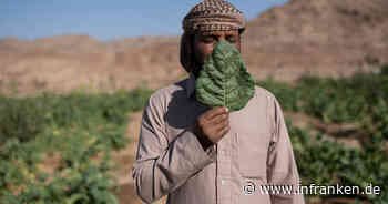 Kitzingen: Pressefotos aus aller Welt - die besten sind in der Rathaushalle zu sehen