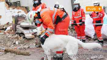 Hilfe nach Erdbeben: Warum die Ulmer Rettungshunde nicht ausrücken