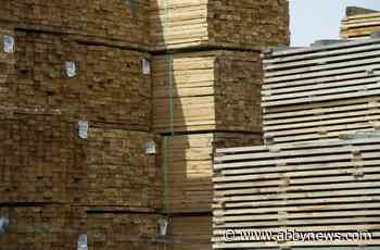 B.C. government promises to fight possible U.S. softwood lumber duties