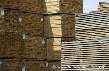 B.C. government promises to fight possible U.S. softwood lumber duties