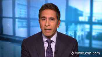 Could zombie fungi take over humans? Dr. Gupta explains