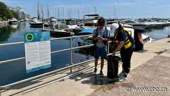 Researchers are finding 'fatbergs' floating on Toronto's waterfront