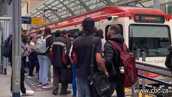 Man dies after being struck by train at Dalhousie LRT Station