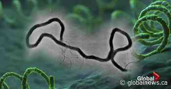 Sask. Prevention Institute kicks off new campaign on syphilis awareness