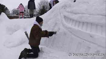 Innisfil man's 28-foot whale sculpture captivates community