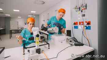 Thinking about freezing your eggs? It's a huge financial, physical and emotional decision