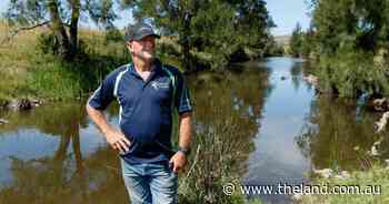 Gas pipeline: A 'four lane highway' through Hunter horse stud