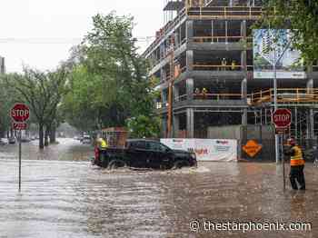 Saskatoon council committee tackles reports on rainstorm response, elm wood disposal