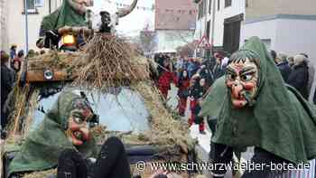 Anzeige: Vollmaringen feiert "40 Jahre Narrenzunft"