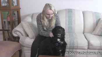 Midland actress in Oscar-nominated film 'Women Talking'