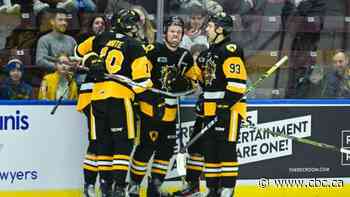 Ontario Hockey League's Bulldogs officially relocating from Hamilton to Brantford