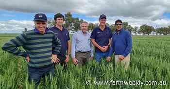 New proven ways to reduce fertiliser use