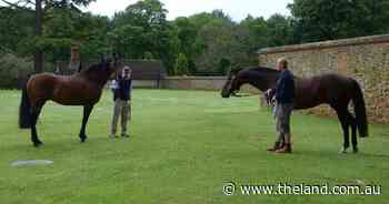 English stallion's lasting legacy