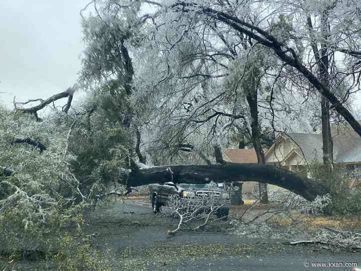How to get help clearing fallen trees if you have increased needs after Central Texas ice storm