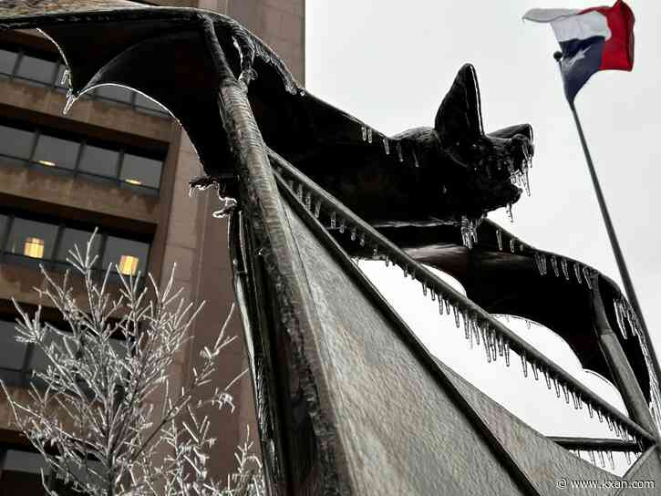 'Multi-month ordeal': Austin Resource Recovery has 13K+ debris requests