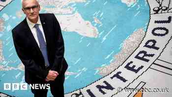 Interpol working out how to police the metaverse