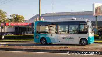 Forget timetables, this Queensland city's on-demand public bus service can be called up like an uber