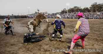 Serious business for rodeo clown