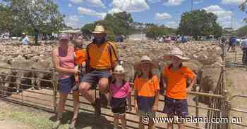 Erratic market at West Wyalong