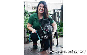 Oahu and Maui shelters, flooded with dogs, seek fosters