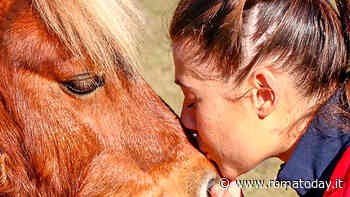"Se Cupido ci mette lo zampino?" San Valentino a Zoomarine