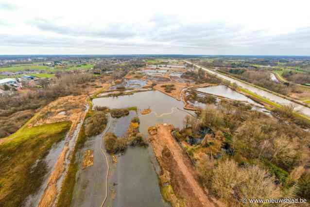 Herstel van Vierselse ‘wetlands’ is voorbeeldproject voor heel Vlaanderen