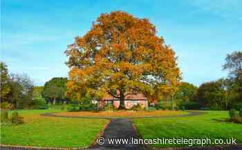 Blackburn park levels up with orchard, CCTV and sports upgrade