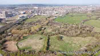 Beavers set to return to urban landscape in Greenford