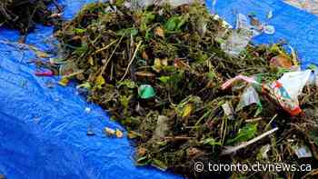 Nearly 100,000 pieces of plastic removed from the Toronto Harbour. Here's what else was found
