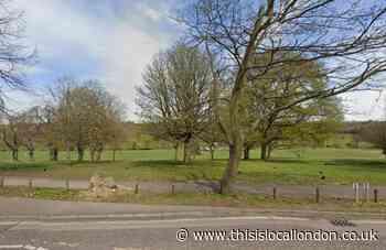 Oak Hill Park: 'Spate' of dead birds found in Barnet