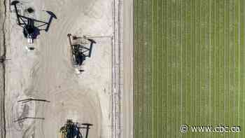 Big Oil walks back climate pledges as earnings show 2022 was their most profitable year ever