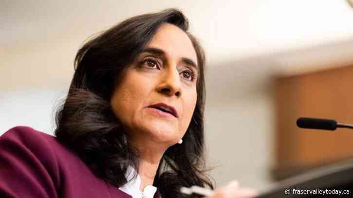 Defence, innovation ministers team up to sell D.C. on merits of working with Canada