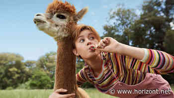 "So schmeckt vegan": Antoni Jellyhouse und Katjes stellen Süßigkeitenwerbung auf den Kopf