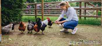 »Homefarming – Das Kochbuch«: Mit Judith Rakers durch den eigenen Garten