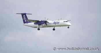 Flybe administrators in bid for temporary operating licence