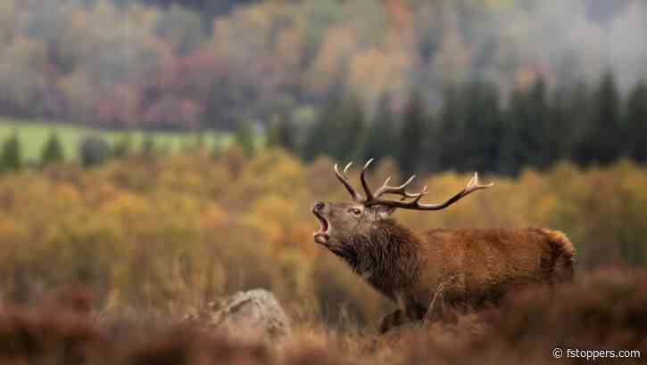 The Difference Between Making and Taking Photos