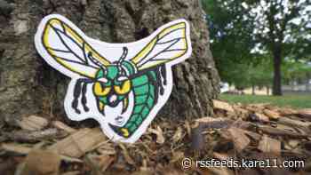 Edina Hornet to return as school's logo after district, artist reach private settlement