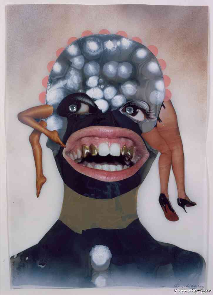 From the Archives: Wangechi Mutu Dresses Cultural Critique in Freakishly Beautiful Disguises